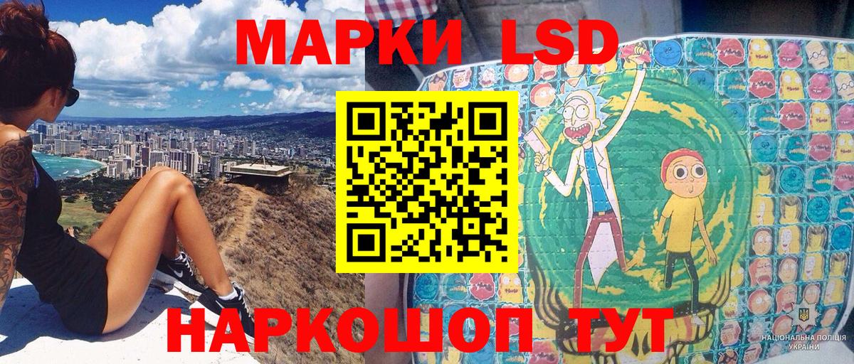 Бердск  где найти   Вход с VPN  Наркотические марки 1,8мг 