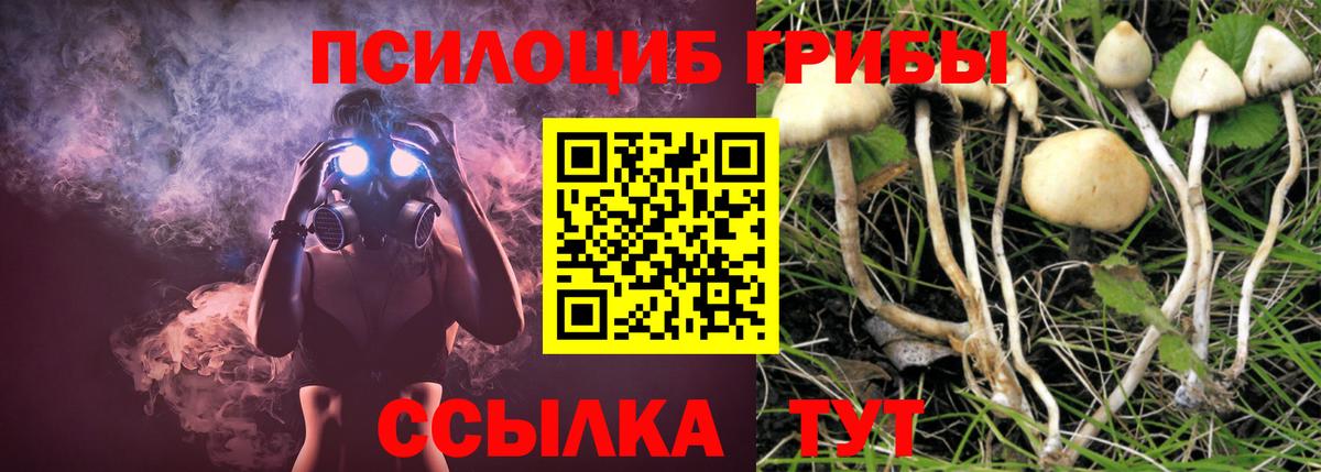 Бердск  Галлюциногенные грибы GOLDEN TEACHER  Галлюциногенные грибы Psilocybine cubensis  Вход с VPN 
