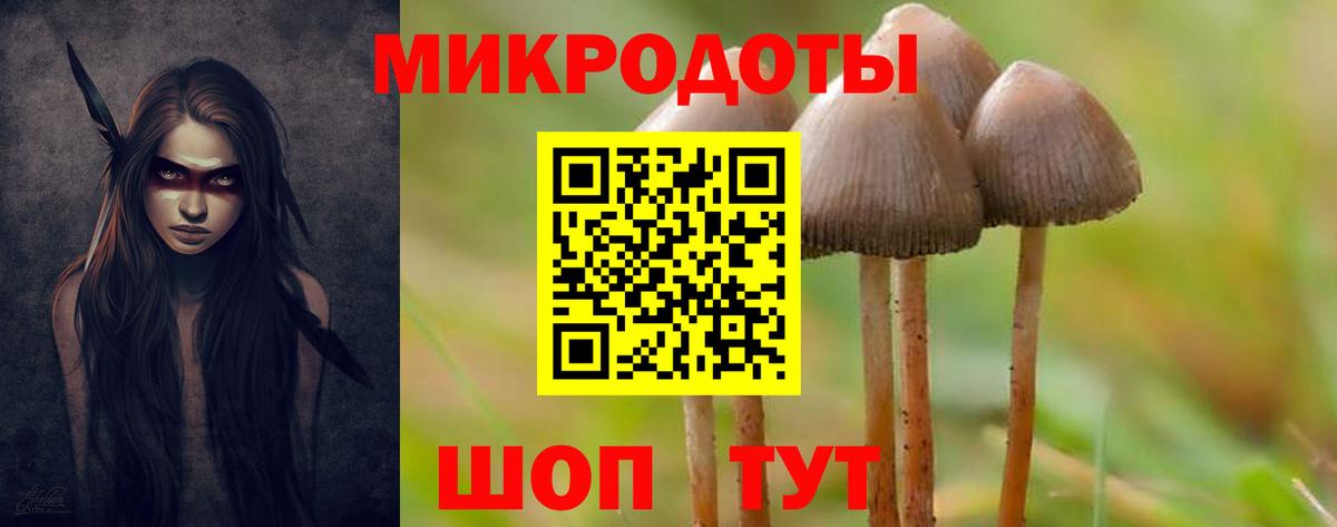 Галлюциногенные грибы ЛСД Бердск